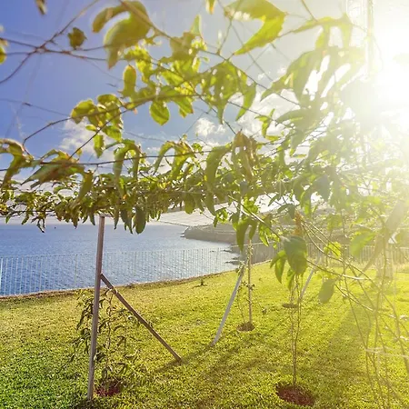 Fazendinha By Real Vision Gaula