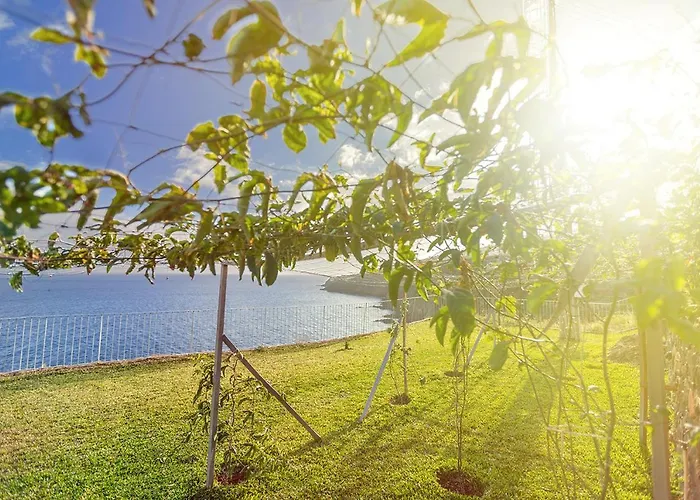 Fazendinha By Real Vision Gaula